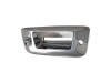 chrome with rear gate camera hole