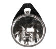 Chrysler Pacifica Fog Light Driving Lamp