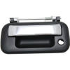 f150 taigate handle with chrome pull